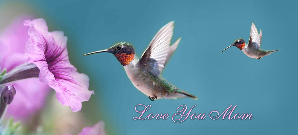 BL Hummingbird (love you mom) PROOF